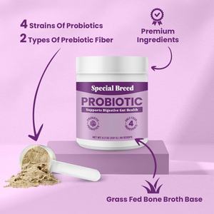 مسحوق البروبيوتيك مع إنزيمات هضمية لتعزيز صحة الأمعاء وتقوية المناعة، مكمل غذائي للحيوانات الأليفة (تصنيع حسب الطلب) - Product Image 2