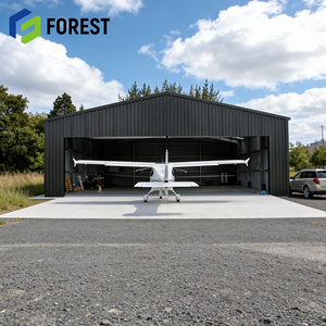 Hangar de Aviones con Estructura de Acero Industrial Personalizada, Acero Q355B para Aviación con Servicio de Diseño - Product Image 1