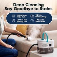 Machine de nettoyage à vapeur haute température certifiée CE, adaptée à un usage domestique et commercial