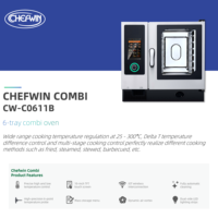 Four combiné commercial à 6 plateaux avec chaudière, écran tactile numérique, puissance de 11,1 kW, électrique, en acier inoxydable, haute efficacité pour les hôtels