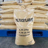 Poliacrilamida Aniónica (PAM) en Polvo, Floculante, Precio Personalizado, Utilizada en Productos Químicos para la Fabricación de Papel