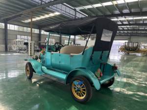 Vintage New Energy Transport spécial à vendre - Product Image 6