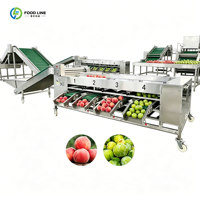 Commerciële hoog-efficiënte hogesnelheids fruit sorteermachine supermarkt papaja sorteerder