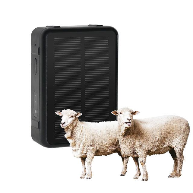 F30 4G Solar GPS Tracker IP67 Waterproof Plastic Lbs Temperature Detection Step Counter Free App for Livestock Management