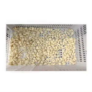 Sarımsak pelet makinesi Peller - Product Image 4