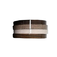 Bande de chantournage ABS haute performance couleur personnalisée pour la finition des bords de placards domestiques