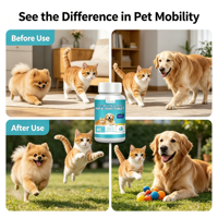 Comprimés de soutien articulaire pour animaux de compagnie, toutes races, chiens et chats, saveur poulet, probiotiques, calcium, régulent la microbiome intestinale, améliorent la digestion