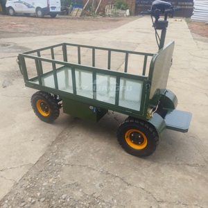 Storage Electric Platform <strong>Trolley</strong> Flatbed <strong>4</strong> <strong>Wheel</strong> Truck Electric Camping <strong>Trolley</strong> - Product Image 2