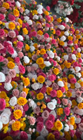Rangée de centre de table à fleurs personnalisable Arrangement rose vif de fleurs jaune orange Bande de mousse de mariage pour mariage
