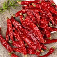 Bumbu Makanan Cabai Merah Kering Utuh Sedikit Pedas Pasokan Grosir Kemasan 25kg Sichuan Cina Dikeringkan dengan Sinar Matahari
