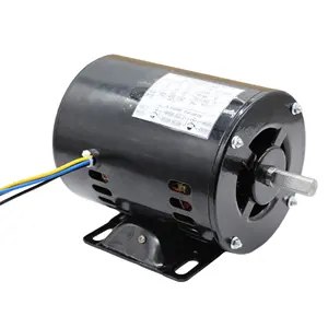 China Factory Single Phase Induction Motor Universal AC Motor For Washing Machine