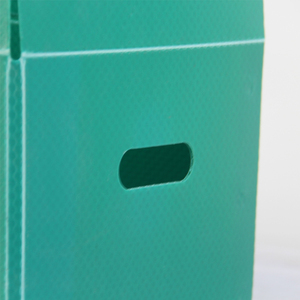 Tấm Polypropylene thùng nhựa lưu trữ đóng mở thùng Rau Thùng hộp các tông sóng - Product Image 4