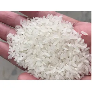 Камолино длина Риса 6 мм, специальный средний рис, оптовая продажа от вьетнамской фабрики-Linda Whatsap 0084 989 322 607