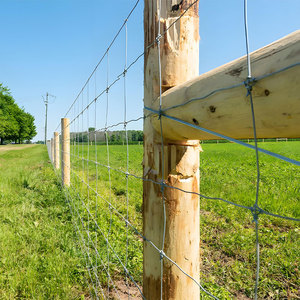 Clôture en treillis métallique galvanisé à usage multiple <span class=keywords><strong>pour</strong></span> la protection des bovins, des moutons et des chèvres. - Product Image 3