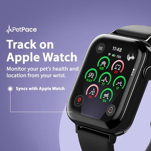 ปลอกคออัจฉริยะ PetPace Dog Health Monitor V3.0 พร้อมระบบติดตามสัญญาณชีพและอาการปวดตลอด 24 ชั่วโมงสำหรับสัตว์เลี้ยง - Product Image 5