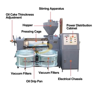 <span class=keywords><strong>Extracteur</strong></span> d'huile de tournesol à <span class=keywords><strong>froid</strong></span>, machine de traitement à l'huile, pour la fabrication d'avocat, avec filtre à huile, ml - Product Image 4