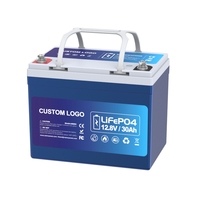 Baterai Lithium Deep Cycle Lifepo4 12.8v 7ah 12ah 20ah 30ah 50ah Paket Baterai Lifepo4 12v 30ah