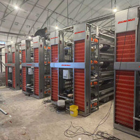Système de cages à poulets en couches de type H professionnel pour élevage avicole, cage à batterie automatique pour 1000 à 5000 oiseaux