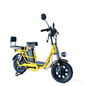 Bicicletta Elettrica Modello Russo da 16 Pollici Senza Batteria, Antiscivolo, per Adulti, Ideale per Consegne a Domicilio - Product Image 2
