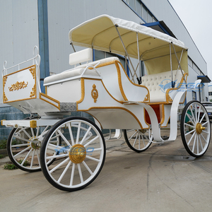 Chariot Électrique de Luxe Personnalisable pour Visites Touristiques et Mariages, Chariot Équestre Électrique Blanc pour Excursions en Plein Air – Vente Chaude, Haute Qualité - Product Image 6