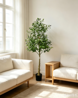Arbre artificiel d'olivier en gros, plante décorative verte de simulation pour usage intérieur