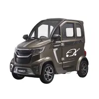 Small Electric Cars for Disabled Persons, Lithium Battery