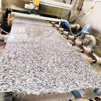Dalles et carreaux en granit blanc Bala, revêtement de sol et plan de travail modernes en pierre polie avec garantie de 5 ans pour les projets