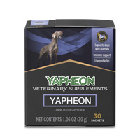 Sachets de poudre probiotique canin OEM, lot de 30, cultures actives vivantes, favorise la santé intestinale du chien, soulage la diarrhée, les gaz et équilibre l'immunité