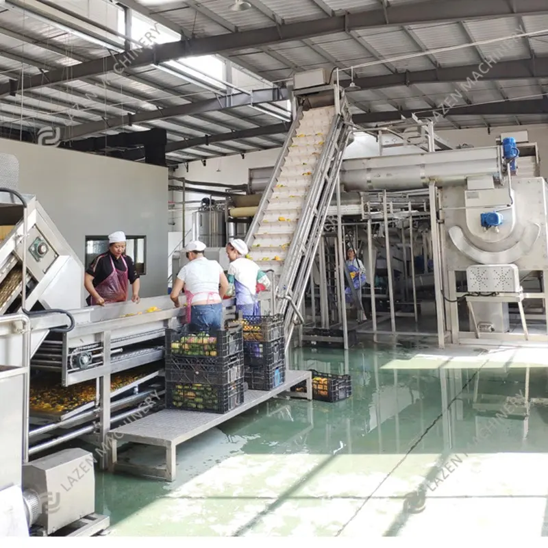 Automatische Maschinen ausrüstung zur Herstellung von Mangos aft Mango Pulp Processing Making Machine Produktions linie