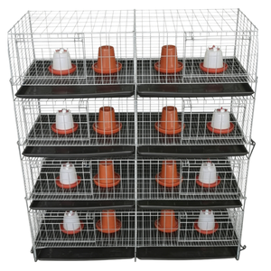 Cage d'élevage avicole moderne automatisée en H, haute capacité pour cailles et poulets de chair - Product Image 6