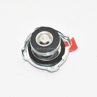 Cubierta de tapa de radiador de coche Skula para CHRYSLER CARAVAN 1993-2020 52079880AA 04677493AA 3781830 4677493AA