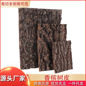 Panneau de fond en écorce de Champagne Aree, écorce de liège sèche, décoration d'aquarium, panneau de camouflage mural, panneau de culture pour plantes aériennes - Product Image 2