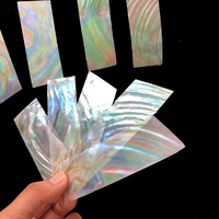 Inlays en nacre d'eau douce blanche, vierges, rectangulaires, effet naturel, épaisseur 0,2-0,25 mm, pour guitares, banjos, mandolines, bijoux