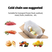 Boîte isotherme personnalisée en mousse thermique et feuille d'aluminium pour la chaîne du froid, emballage pour fruits de mer, produits pharmaceutiques, kits repas, alimentaire, OEM Thaïlande