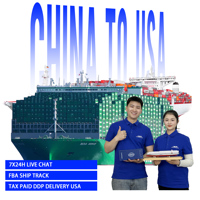 Équipes d'approvisionnement Agent maritime DDP Chine-USA Dédouanement maritime Frais de transport payés Importateur de marchandises DDP DDU LCL FCL 3PL