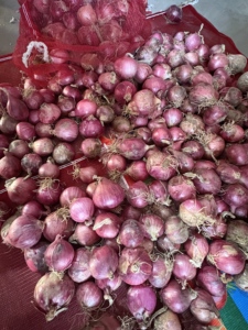 Hành tây đỏ tươi bán buôn hành tây giòn và ngon ngọt với giá cả cạnh tranh - Product Image 5