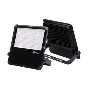 Projecteur LED 100W à puce COB, corps en aluminium, IP66, large faisceau, montage en surface pour éclairage extérieur d'usine, de stade et de place publique - Product Image 3