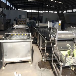 Linea Automatica per il Lavaggio di Frutta e Verdura con Lavorazione Casearia, Smistamento, Ceratura e Classificazione di Arance e Mele - Product Image 6