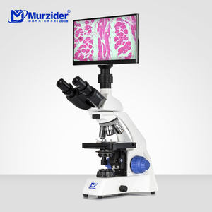 Les microscopes biologiques Murzider sont utilisés dans les laboratoires médicaux, les laboratoires vétérinaires et les cliniques vétérinaires. MSD1125-11.6YT - Product Image 1
