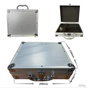 Caja de herramientas de tatuaje directo de fábrica Aleación de aluminio pequeña maleta de tatuaje Máquina de tatuaje profesional caja vacía