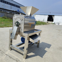 Industriële Pulp Peeling Sap Jam Maken Fruitpuree Machine Guave Pulper Mango Destoner