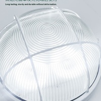 Lumière LED anti-explosion, anti-humidité, anti-poussière, étanche pour entrepôt, usine, extérieur, salle de bain, sous-sol, plafond - 110-240V