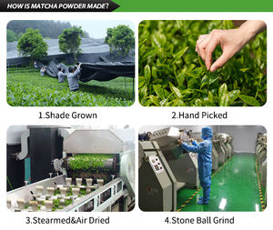 Matcha di grado cerimoniale biologico più ricco di gustosità di alta qualità produttore di tè verde giapponese in polvere Matcha - Product Image 6