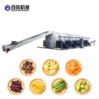 Séchoir industriel à fruits et aliments à bande transporteuse pour cardamome, tomates et dattes rouges – Vente directe usine