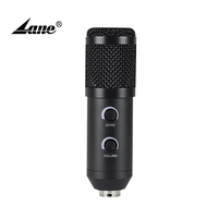 Lane Bm300 Professionelles Echo-Mikrofon Kondensatormikrofon mit Ständer und Pop-Filter für Webcast Live-Aufnahmen Broadcasting