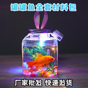 Jouet lumineux en plastique carré en forme d'aquarium avec lumières LED pour enfants, cadeau - Product Image 4
