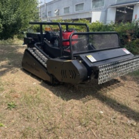 Tondeuse à gazon robotisée intelligente, tracteur chenillé industriel, machine à couper l'herbe à 4 temps