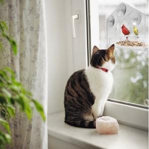 Şeffaf akrilik kuş besleyici açık kafes asılı kuş besleyici açık aviary pencere suckers - Product Image 3