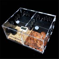 Présentoir pour Reptile en acrylique transparent à 2 compartiments, boîte d'élevage pour Reptile, pour 1/2 1/2 insectes et lézard, réservoir pour animaux de compagnie
