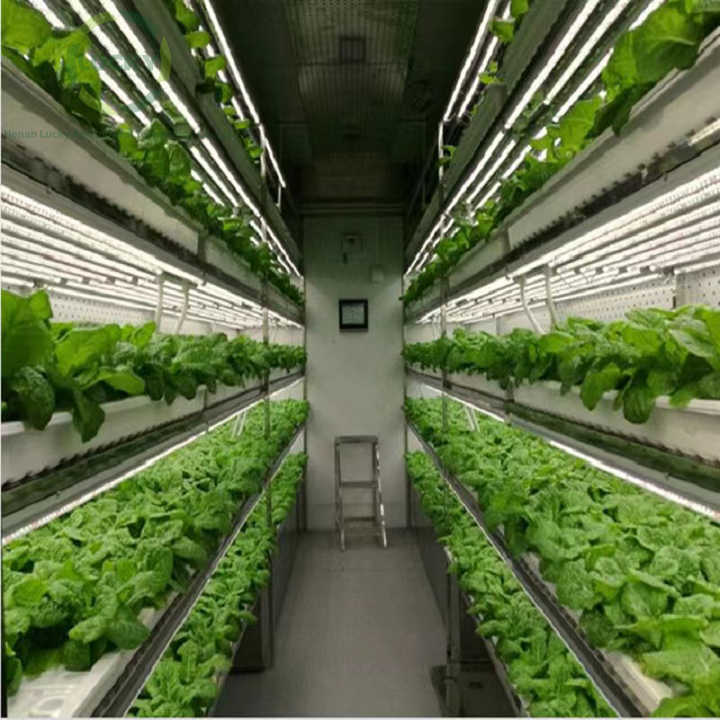 Small Container Farm Container NFT Hydroponic Farm Smart Vertical Farming Shipping Container ...